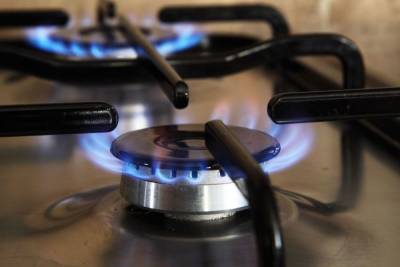 В Ленобласти теперь можно подать онлайн-заявку на бесплатную догазификацию - mk.ru - Россия - Ленинградская обл.
