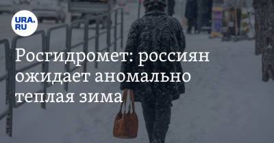 Росгидромет: россиян ожидает аномально теплая зима - ura.news - Россия - респ. Саха - округ Сибирский