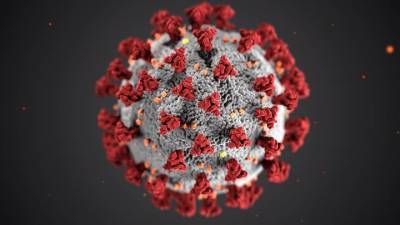 Эксперт рассказал, какую опасность для детского организма несет новый штамм коронавируса - vm.ru - Россия