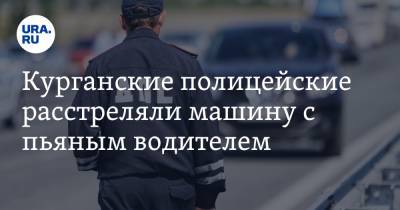 Курганские полицейские расстреляли машину с пьяным водителем. Видео - ura.news - Россия - Курганская обл. - район Шадринский