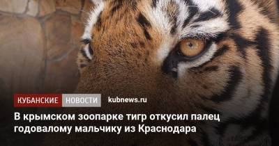 В крымском зоопарке тигр откусил палец годовалому мальчику из Краснодара - kubnews.ru - Крым - Краснодарский край - Краснодар