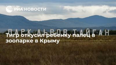 Тигр откусил годовалому ребенку палец в зоопарке "Тайган" в Крыму - ria.ru - Крым - Краснодар - Симферополь - Севастополь