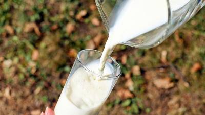 Дюртюлинские аграрии планируют увеличить производство молока - bash.news - Башкирия - район Дюртюлинский