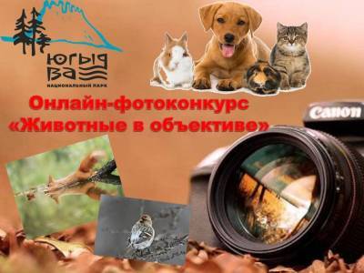 Нацпарк "Югыд ва" напомнил об ответственности людей перед животными - komiinform.ru