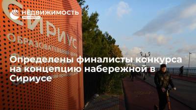 Определены шесть финалистов конкурса на концепцию набережной в Сириусе - realty.ria.ru - Москва - Россия - США - Краснодарский край - Италия - Франция - Дания - Новая Зеландия - Голландия