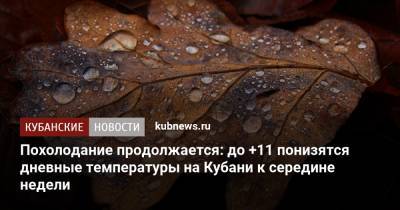 Похолодание продолжается: до +11 понизятся дневные температуры на Кубани к середине недели - kubnews.ru - Краснодарский край - Краснодар