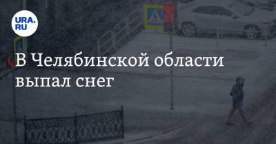 В Челябинской области выпал снег - ura.news - Челябинская обл. - Челябинск - Магнитогорск
