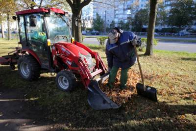 В Петербурге бушует листопад: на улицы вышли более 500 единиц уборочной техники - spb.mk.ru - Санкт-Петербург
