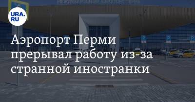 Аэропорт Перми прерывал работу из-за странной иностранки. Прибор показал наличие взрывчатки - ura.news - Москва - Узбекистан - Пермь