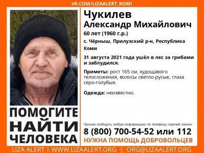 В Прилузье за пропавшего грибника объявили вознаграждение в 50 тысяч рублей - komiinform.ru