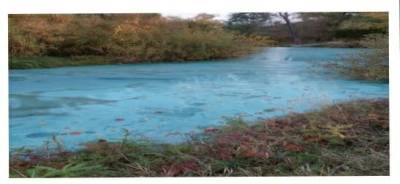 Река в Удмуртии стала ярко бирюзового цвета - gorodglazov.com - респ. Удмуртия - район Каракулинский - Экология