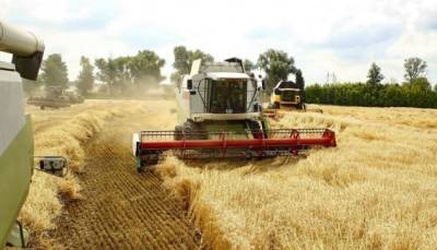 Урожай-2021: Украина может пересечь отметку в 100 млн тонн зерновых - ukrinform.ru - Украина - Аграрии