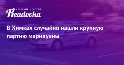 В Химках случайно нашли крупную партию марихуаны - readovka.news