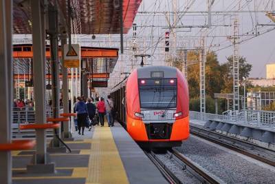 ЦППК получит 95 новых поездов до 2024 года - vm.ru - Москва