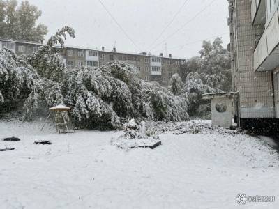 Побитые машины и перекрытые улицы: последствия внезапного снегопада в Кузбассе - news.vse42.ru - Кемеровская обл. - Кемерово