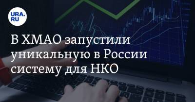 В ХМАО запустили уникальную в России систему для НКО - ura.news - Россия - Югра