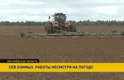 Аграрии работают днем и ночью: силы брошены на сев озимых - ont.by - Белоруссия