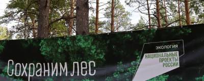 Новосибирские таможенники приняли участие в акции «Сохраним лес» - runews24.ru - Новосибирск - Новосибирская обл. - округ Сибирский