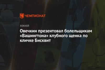 Александр Овечкин - Овечкин презентовал болельщикам «Вашингтона» клубного щенка по кличке Бисквит - championat.com - Вашингтон