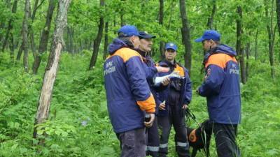 В Приморье продолжается поиск пропавших в районе горы Фалаза туристок - russian.rt.com - Приморье край - район Шкотовский