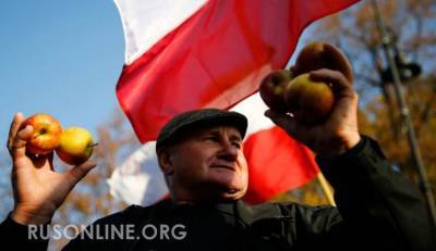 Сергей Лавров - Збигнев Рау - После встречи Лаврова и Рау поляки поняли, что РФ не передумает насчет их яблок - rusonline.org - Москва - Россия - Польша - Варшава