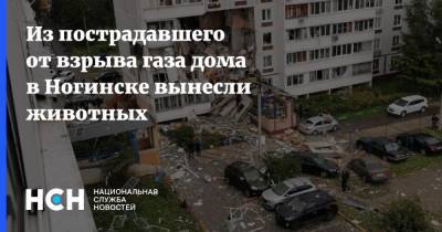 Из пострадавшего от взрыва газа дома в Ногинске вынесли животных - nsn.fm - Россия - Ногинск