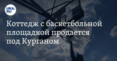 Коттедж с баскетбольной площадкой продается под Курганом. Фото - ura.news