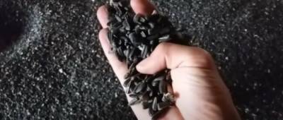 В Украине зафиксировали дефицит подсолнечника: какими будут цены на подсолнечное масло - w-n.com.ua - Украина - Запорожская обл. - Днепропетровская обл.