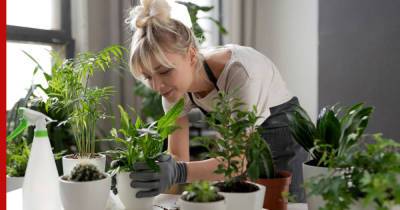 Как сберечь растения во время отъезда: простые решения - profile.ru