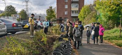 Жители Петрозаводска облагородили парковку возле детской поликлиники - stolicaonego.ru - Петрозаводск - республика Карелия