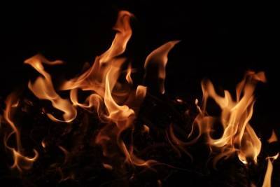 На пожаре в тульском поселке Плеханово погибла 83-летняя женщина - tula.mk.ru - Тульская обл.