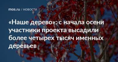 Петр Бирюков - «Наше дерево»: с начала осени участники проекта высадили более четырех тысяч именных деревьев - mos.ru - Москва - Экология