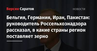 Бельгия, Германия, Иран, Пакистан: руководитель управления Россельхознадзора рассказал, в какие страны регион поставляет зерно - nversia.ru - Бельгия - Казахстан - Белоруссия - Турция - Германия - Саратовская обл. - Польша - Иран - Голландия - Пакистан - Азербайджан - Латвия - Самарская обл.