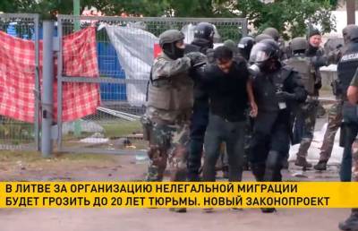 В Литве собираются принять закон об уголовной ответственности организаторам нелегальной миграции - ont.by - Грузия - Белоруссия - Ирак - Польша - Литва - Азербайджан