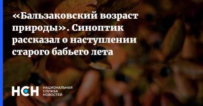 Евгений Тишковец - «Бальзаковский возраст природы». Синоптик рассказал о наступлении старого бабьего лета - nsn.fm - Москва - Россия