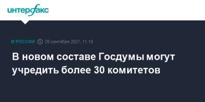 В новом составе Госдумы могут учредить более 30 комитетов - interfax.ru - Москва - Россия