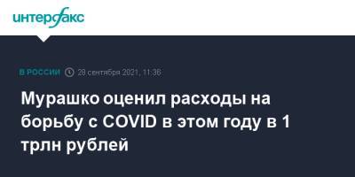 Михаил Мурашко - Мурашко оценил расходы на борьбу с COVID в этом году в 1 трлн рублей - interfax.ru - Москва - Россия