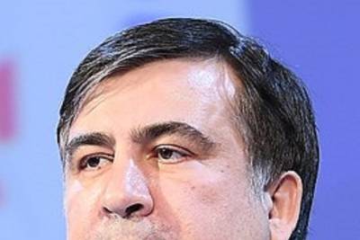 Михаил Саакашвили - Ираклий Гарибашвили - Премьер-министр Грузии пообещал, что Саакашвили будет арестован, если посетит страну - mk.ru - Киев - Грузия - Тбилиси