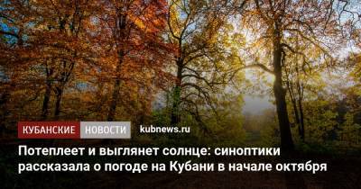 Потеплеет и выглянет солнце: синоптик рассказала о погоде на Кубани в начале октября - kubnews.ru - Краснодарский край