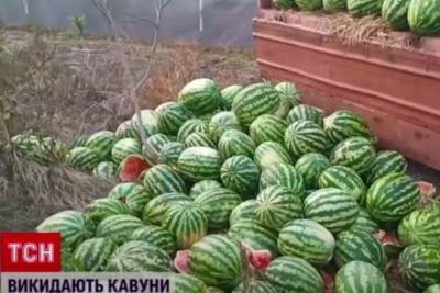 Не покупают даже по 50 копеек: в Херсоне аграрии массово выбрасывают арбузы на свалку - rupor.info - Херсон - Херсонская обл.