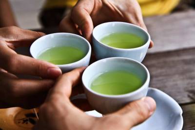 Светлана Фус - Диетолог Фус рассказала, кому не следует пить много зеленого чая - actualnews.org - Россия