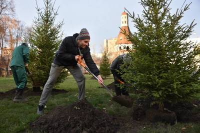 Петр Бирюков - Более четырех тысяч именных деревьев высадили участники проекта «Наше дерево» - vm.ru - Москва