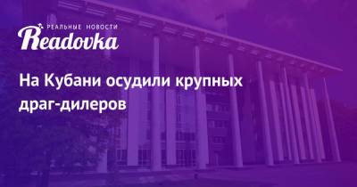 На Кубани осудили крупных драг-дилеров - readovka.news - Краснодарский край