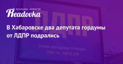 Владимир Матвеев - В Хабаровске два депутата гордумы от ЛДПР подрались - readovka.news - Россия - Хабаровский край - Хабаровск