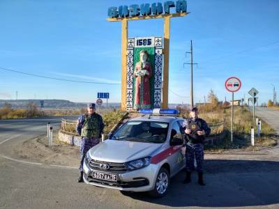 Как росгвардейцы задержали водителя, сбившего ребенка в Визинге - komiinform.ru