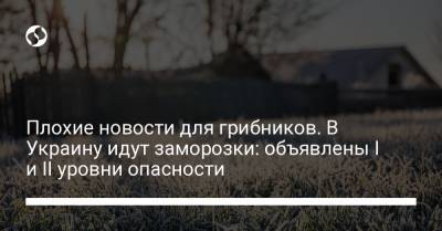 Плохие новости для грибников. В Украину идут заморозки: объявлены I и II уровни опасности - liga.net - Украина - Киевская обл.