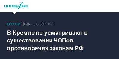 Дмитрий Песков - Сергей Лавров - В Кремле не усматривают в существовании ЧОПов противоречия законам РФ - interfax.ru - Москва - Россия - Франция - Мали