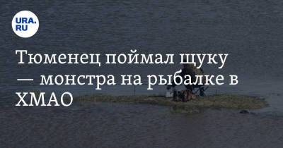 Тюменец поймал щуку — монстра на рыбалке в ХМАО. Фото - ura.news - Тюмень - Югра