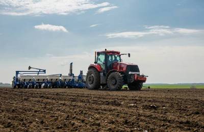 Половина областей Украины завершила сев рапса под урожай-2022 - agroportal.ua - Украина - Киевская обл. - Житомирская обл.