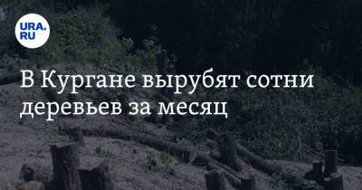 В Кургане вырубят сотни деревьев за месяц - ura.news - Курган